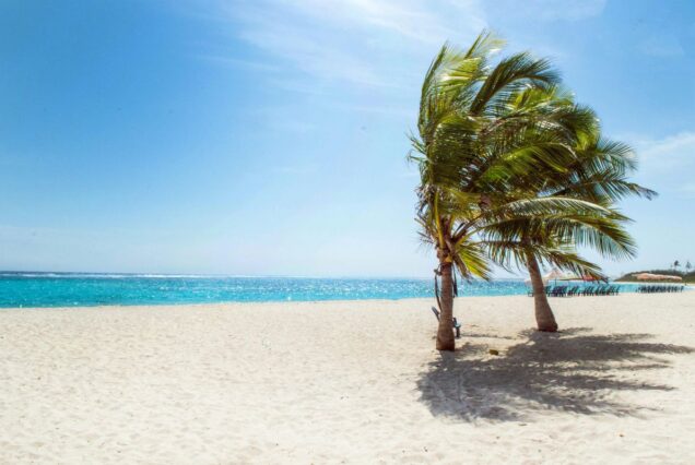 Alcudia , Pollensa Mallorca