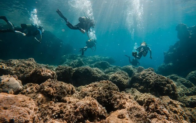 buceo en mallorca