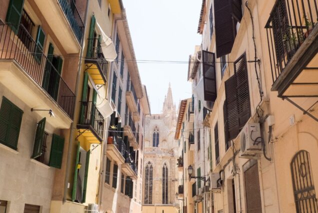 Palma de Majorque , Cathédrale de la Seu , Marché Olivar