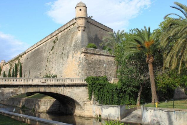 Palma à vélo