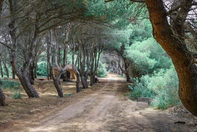 excursion Minorque Coves et Binigaus