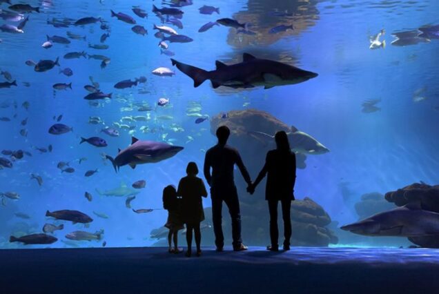 Aquarium de Palma Majorque
