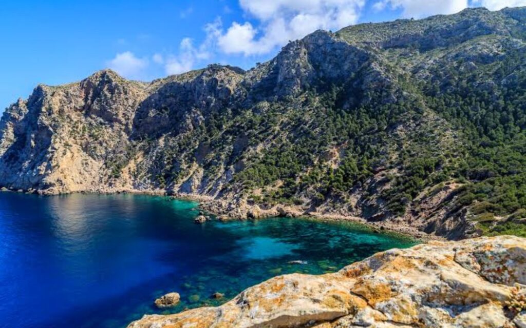 Excursion dans la Serra de Tramuntana : Trésors de Majorque - Visiter la Serra de Tramuntana