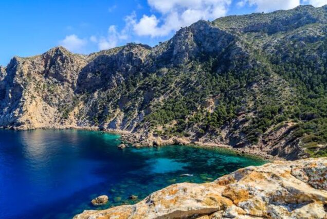 Excursion dans la Serra de Tramuntana : Trésors de Majorque - Visiter la Serra de Tramuntana