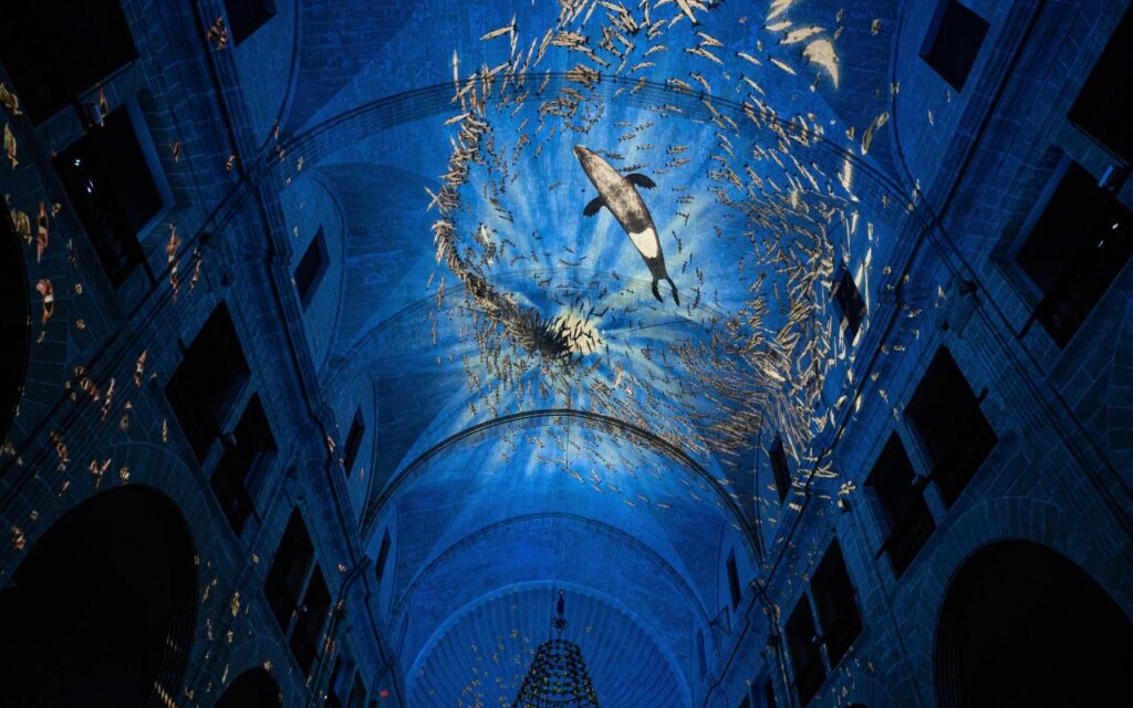 Visite insolite de Palma de Majorque - Palma lumineuse