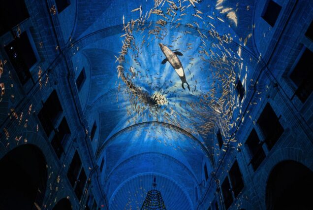 Visite insolite de Palma de Majorque - Palma lumineuse - Visita alternativa de Palma de Mallorca: Palma luminosa