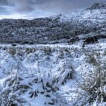 Valldemossa in Winter